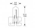 H2 ELTA halogen 12V/55W 